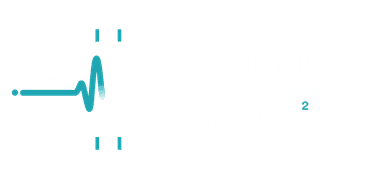 Steinbeis + Kakushin